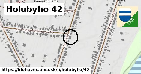 Holubyho 42, Hlohovec