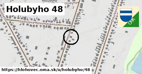 Holubyho 48, Hlohovec