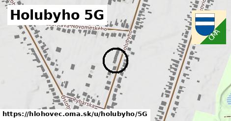 Holubyho 5G, Hlohovec