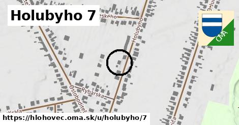 Holubyho 7, Hlohovec