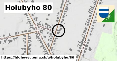 Holubyho 80, Hlohovec