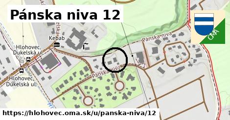 Pánska niva 12, Hlohovec