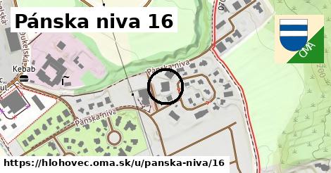 Pánska niva 16, Hlohovec