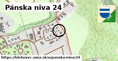 Pánska niva 24, Hlohovec