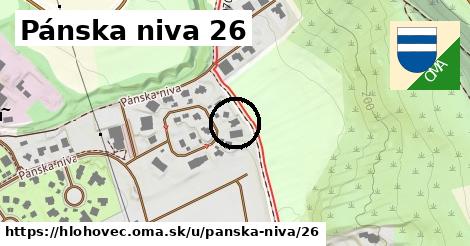 Pánska niva 26, Hlohovec