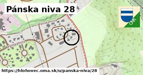 Pánska niva 28, Hlohovec