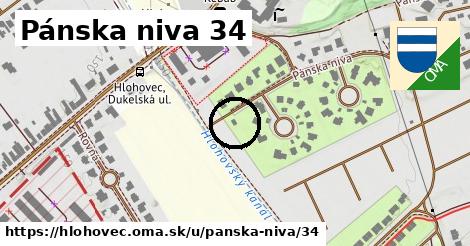 Pánska niva 34, Hlohovec