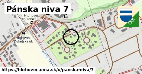 Pánska niva 7, Hlohovec