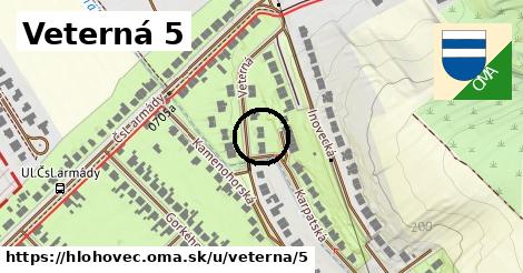 Veterná 5, Hlohovec