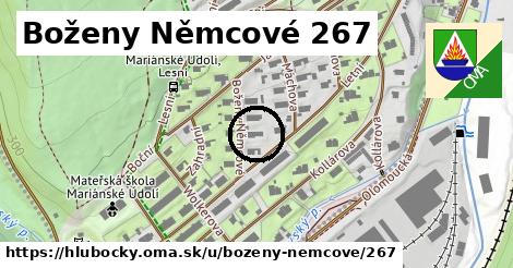 Boženy Němcové 267, Hlubočky