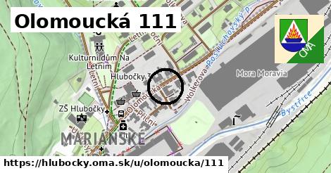 Olomoucká 111, Hlubočky