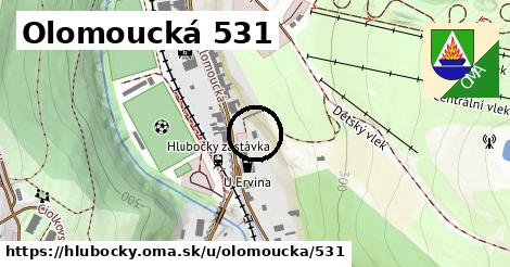 Olomoucká 531, Hlubočky