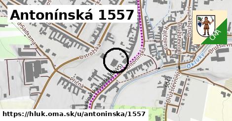 Antonínská 1557, Hluk