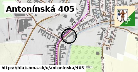 Antonínská 405, Hluk