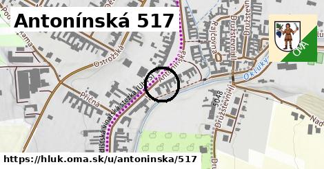 Antonínská 517, Hluk