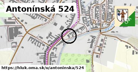 Antonínská 524, Hluk