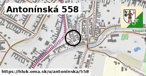 Antonínská 558, Hluk