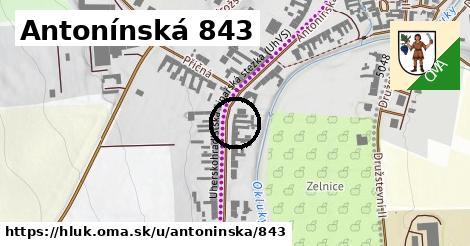 Antonínská 843, Hluk