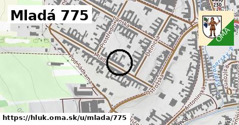 Mladá 775, Hluk