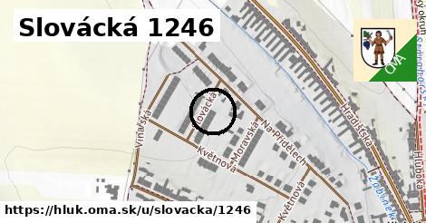 Slovácká 1246, Hluk