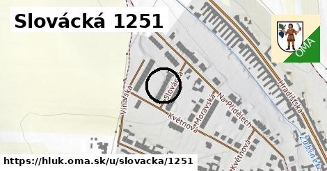 Slovácká 1251, Hluk