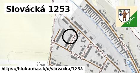 Slovácká 1253, Hluk