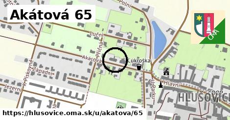 Akátová 65, Hlušovice