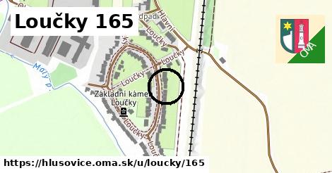 Loučky 165, Hlušovice