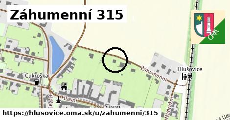 Záhumenní 315, Hlušovice