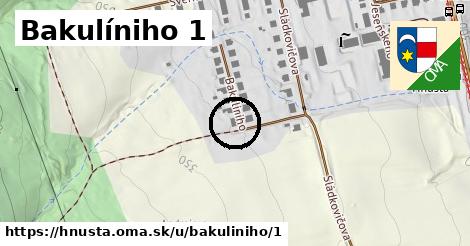 Bakulíniho 1, Hnúšťa
