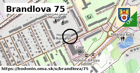 Brandlova 75, Hodonín