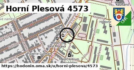 Horní Plesová 4573, Hodonín