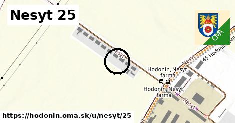 Nesyt 25, Hodonín