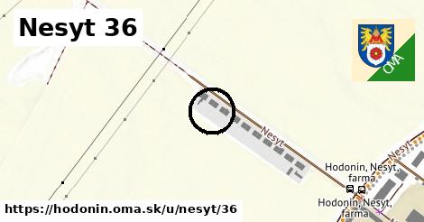 Nesyt 36, Hodonín