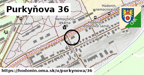 Purkyňova 36, Hodonín