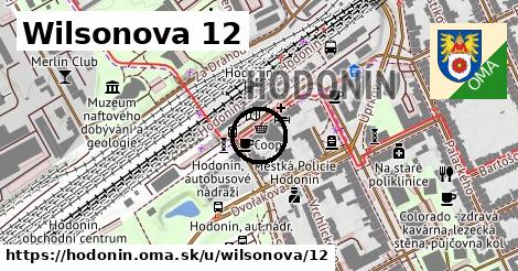 Wilsonova 12, Hodonín