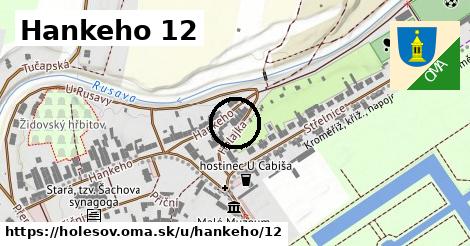 Hankeho 12, Holešov