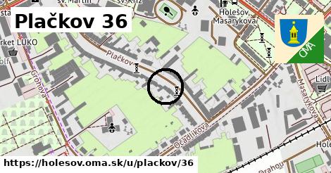 Plačkov 36, Holešov