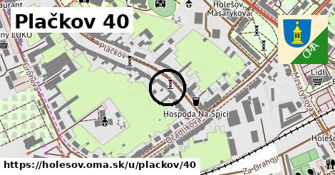 Plačkov 40, Holešov