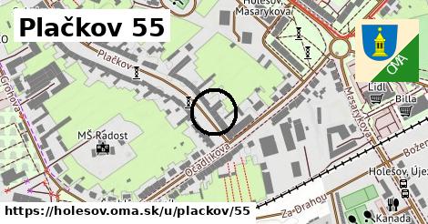 Plačkov 55, Holešov