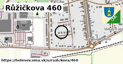 Růžičkova 460, Holešov