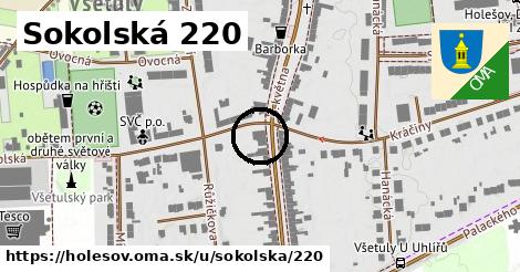 Sokolská 220, Holešov