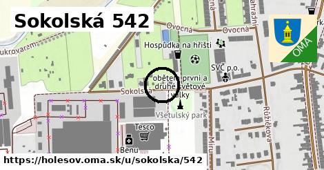 Sokolská 542, Holešov