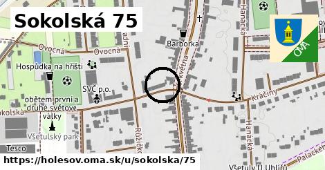 Sokolská 75, Holešov