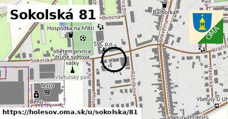 Sokolská 81, Holešov