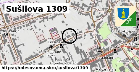 Sušilova 1309, Holešov