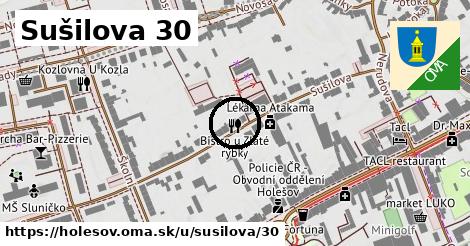Sušilova 30, Holešov