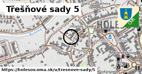 Třešňové sady 5, Holešov