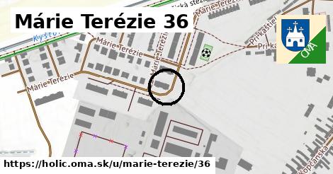 Márie Terézie 36, Holíč