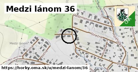 Medzi lánom 36, Hôrky